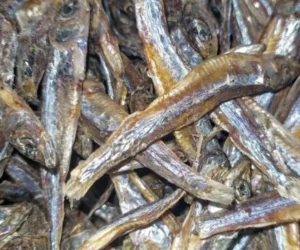 Petits Poissons Séchés Traditionnels du Burundi