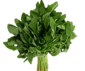 Irengarenga - Légume Traditionnel Burundais