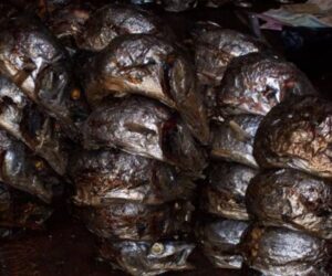 Le poisson fumé du Burundi, appelé "umukeke"
