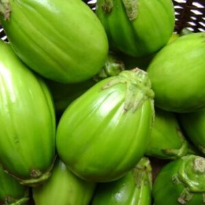 Prix de Vente - Aubergine Verte du Burundi (Intore) Prix de Vente au Canada : 5,99 $ CAD par kg Découvrez l'Aubergine Verte du Burundi