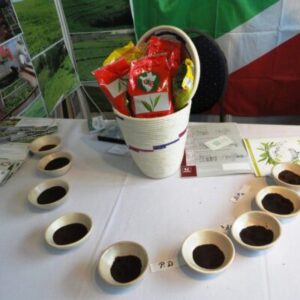 Thé du Burundi